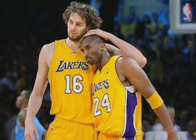 入了信心 入了信心